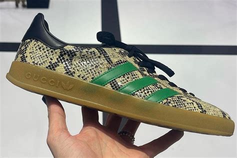 adidas gazelle indoor gucci|Adidas gazelle release date.